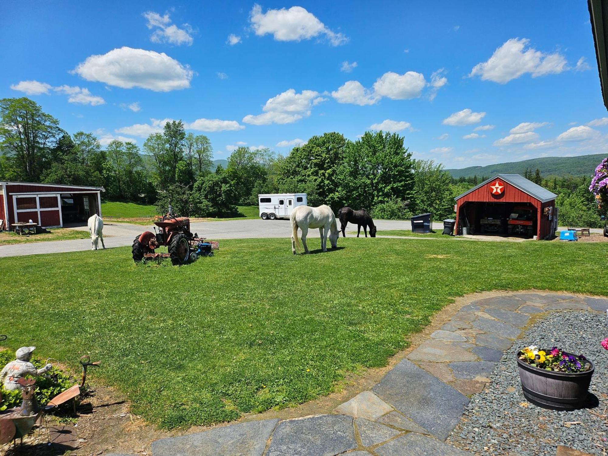 Clover Hill Farm & Country Inn Вільямстаун Екстер'єр фото