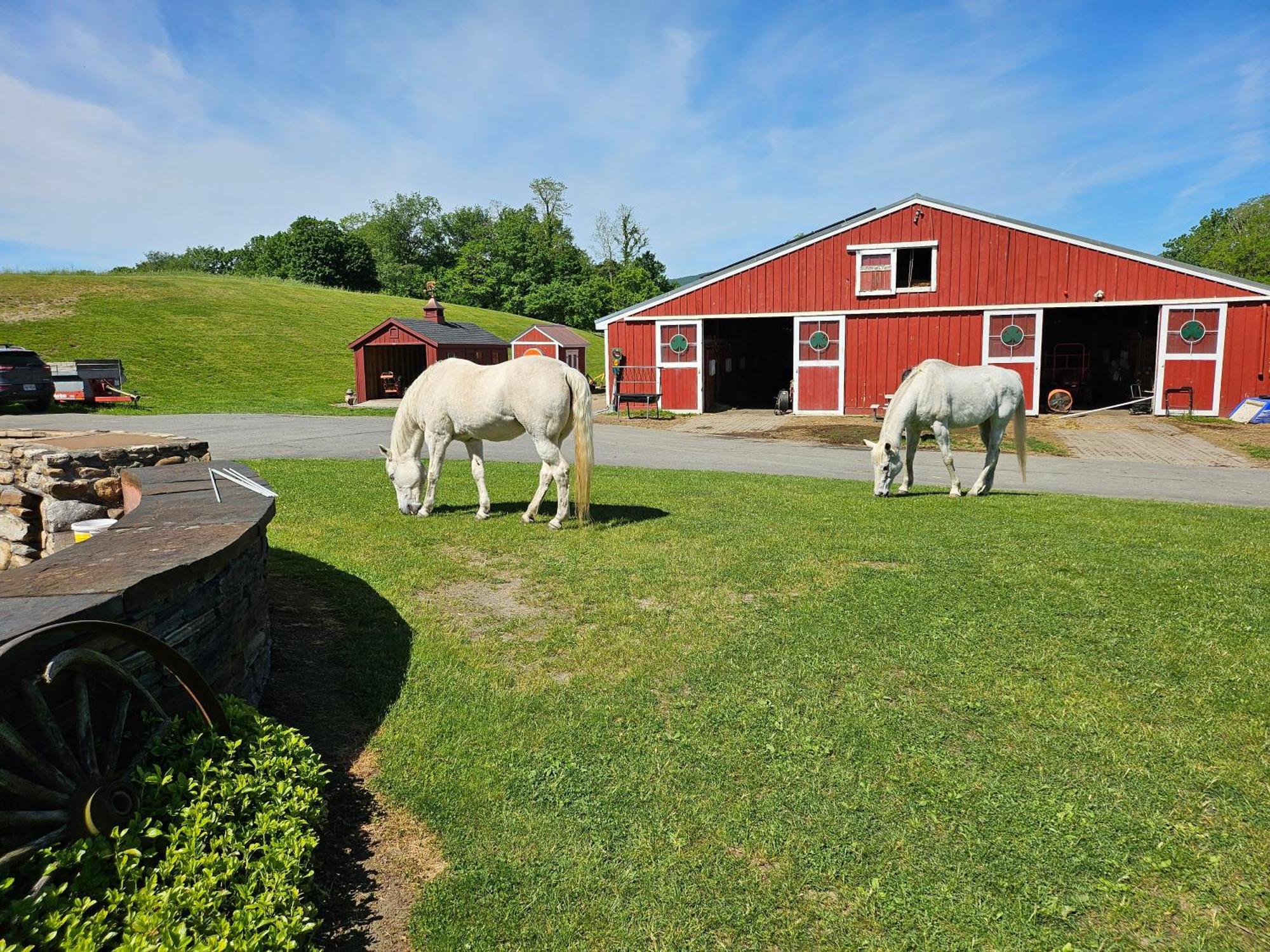 Clover Hill Farm & Country Inn Вільямстаун Екстер'єр фото